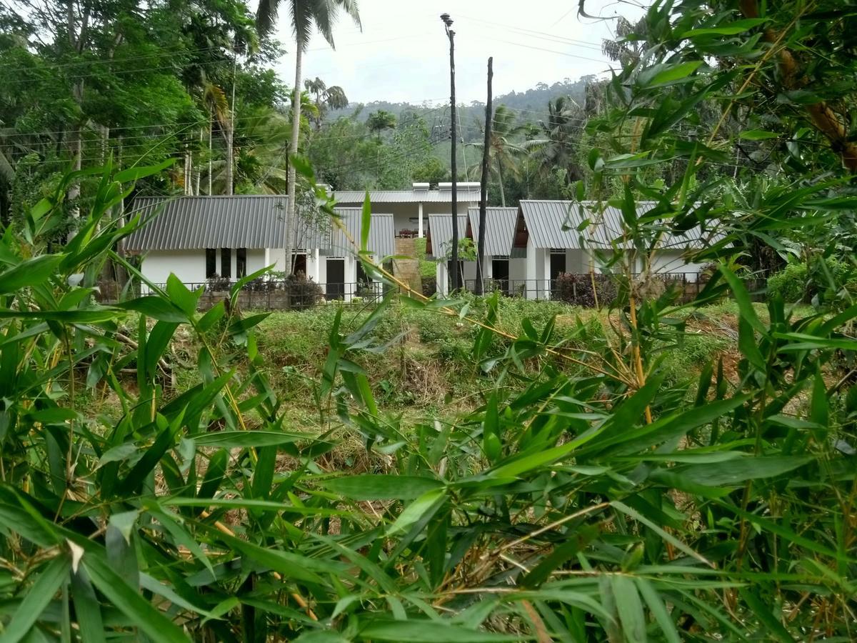 Sinharaja Forest Sanctuary Deniyaya Extérieur photo
