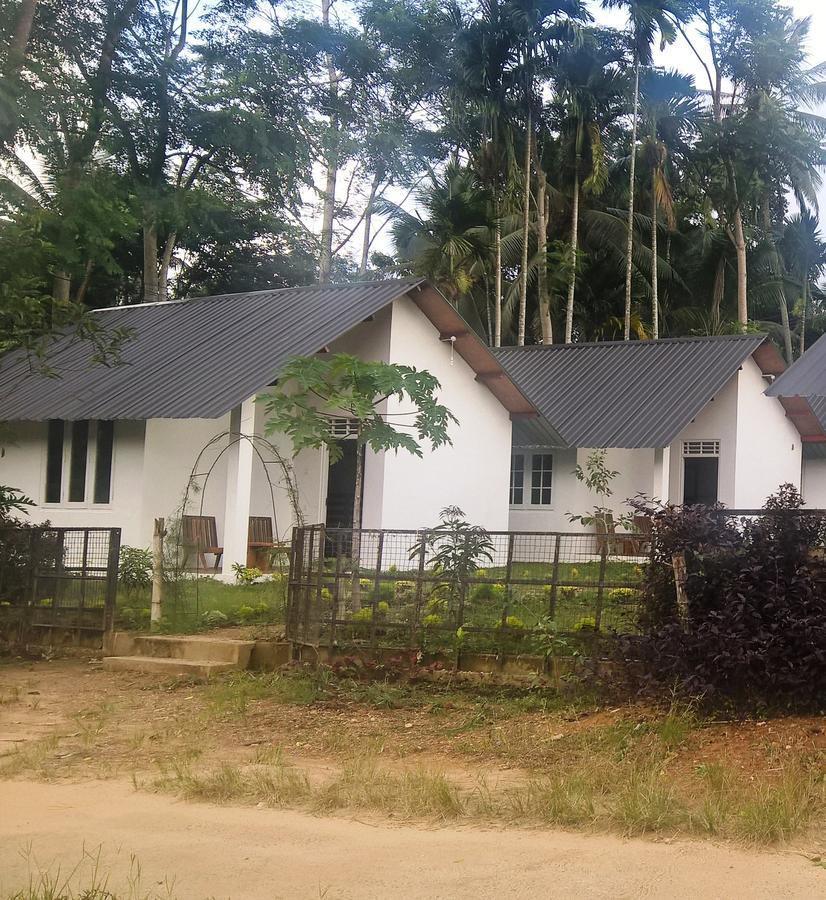 Sinharaja Forest Sanctuary Deniyaya Extérieur photo