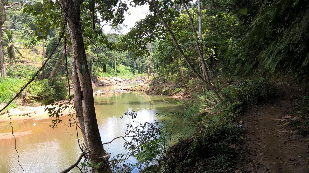 Sinharaja Forest Sanctuary Deniyaya Extérieur photo