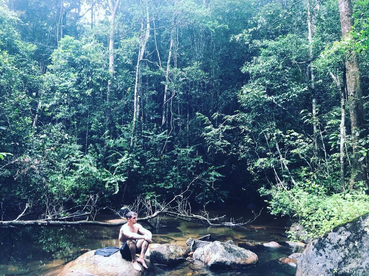 Sinharaja Forest Sanctuary Deniyaya Extérieur photo