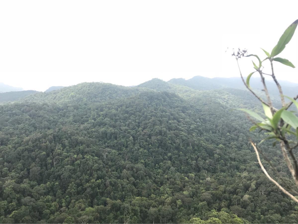 Sinharaja Forest Sanctuary Deniyaya Extérieur photo