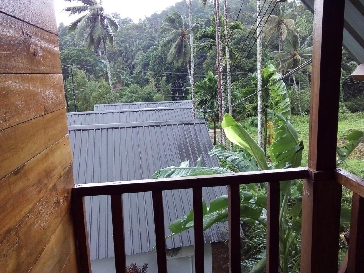 Sinharaja Forest Sanctuary Deniyaya Chambre photo