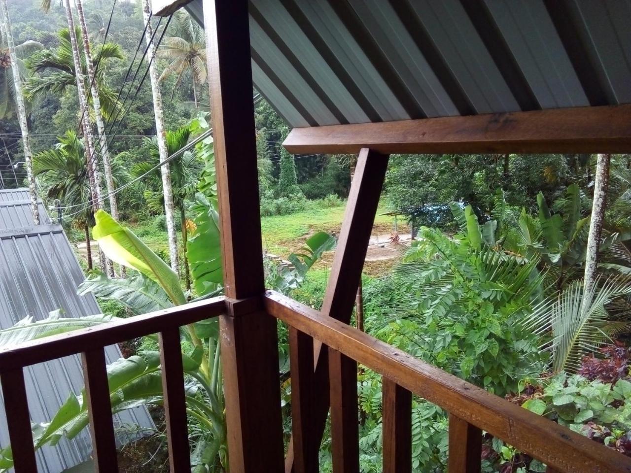 Sinharaja Forest Sanctuary Deniyaya Chambre photo